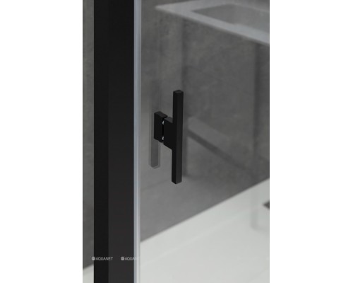 Душевой уголок Allen Brau Priority 100x90 3.31006.BBA + 3.31018.BBA черный браш