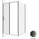Душевой уголок Allen Brau Priority 120x90 3.31009.BBA + 3.31018.BBA черный браш