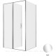 Душевой уголок Allen Brau Priority 120x100 3.31031.00 + 3.31046.00 хром