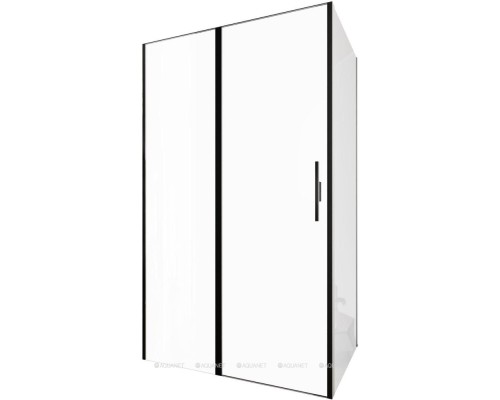 Душевой уголок Allen Brau Priority 120x100 3.31033.BBA + 3.31048.BBA черный браш