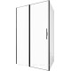 Душевой уголок Allen Brau Priority 120x100 3.31033.BBA + 3.31048.BBA черный браш