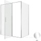 Душевой уголок Allen Brau Priority 160x100 3.31037.00 + 3.31046.00 хром