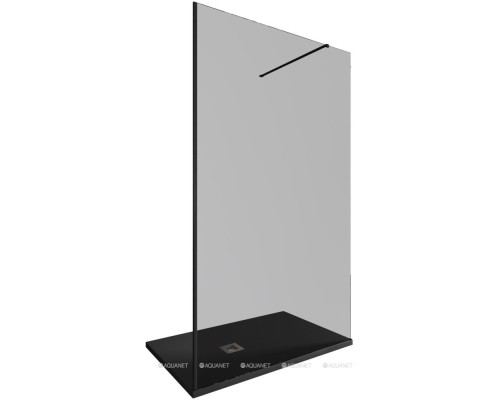 3.21022.BBA.T INFINITY 1, Walk in 8мм, 1200(1175-1185мм) тонир. 8мм,черный браш (323814)