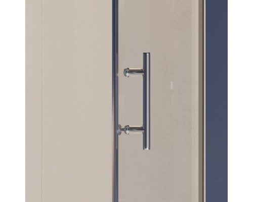 Распашная душевая дверь RGW HO-012 100*195 прозрачное стекло 8 мм 350601200-11