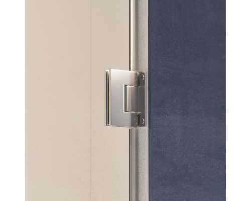 Распашная душевая дверь RGW HO-012 100*195 прозрачное стекло 8 мм 350601200-11