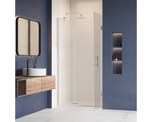 Распашная душевая дверь RGW HO-012 100*195 прозрачное стекло 8 мм 350601200-11