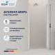 Душевая дверь RGW Dolphin TN-03 54930306-101 60*195 стекла фабрик, цвет хром 