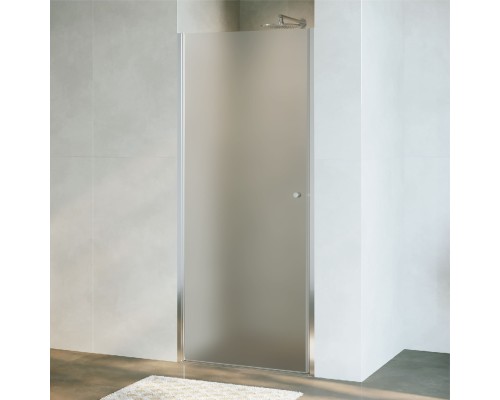 Душевая дверь в нишу RGW Dolphin TN-03 90*195 54930309-101 стекло фабрик, профиль хром 