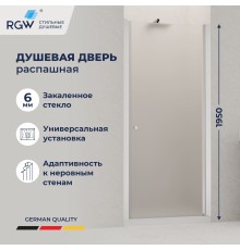 Душевая дверь в нишу RGW Dolphin TN-03 90x195 54930309-101 стекло фабрик, профиль хром