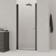 Душевая дверь RGW Dolphin TN-03-B 54930309-14 90x195 стекла прозрачные, профиль черный