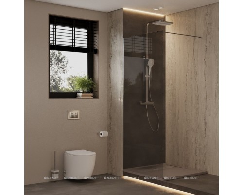 Душевая перегородка Allen Brau 3.21003.BBA INFINITY 1, Walk in 8мм, 800(775-785мм) прозр. 8мм,черный браш (323795)