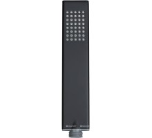 Душевая лейка Allen Brau Infinity 5.21022-31 черный матовый