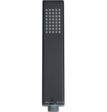Душевая лейка Allen Brau Infinity 5.21022-31 черный матовый