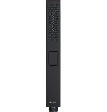 Душевая лейка Allen Brau Infinity 5.21A22-31 черный матовый