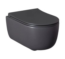 Чаша подвесного унитаза Allen Brau Priority 4.31002.AN антрацит