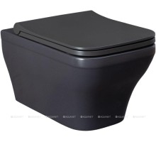 Чаша подвесного унитаза Allen Brau Infinity 4.21011.AN антрацит