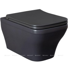 Чаша подвесного унитаза Allen Brau Infinity 4.21011.AN антрацит