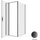 Душевой уголок Allen Brau Priority 90x100 3.31027.BBA + 3.31048.BBA черный браш