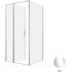 Душевой уголок Allen Brau Priority 100x100 3.31028.00 + 3.31046.00 хром