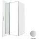 Душевой уголок Allen Brau Priority 100x90 3.31029.BA + 3.31044.BA серебро браш