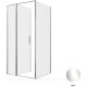 Душевой уголок Allen Brau Priority 100x90 3.31028.00 + 3.31043.00 хром