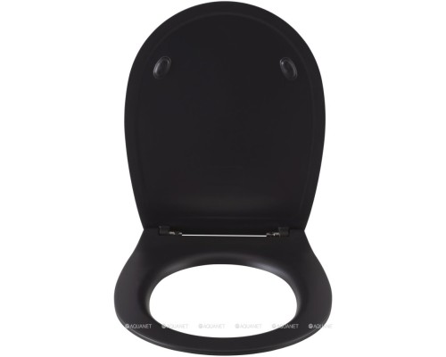 Крышка-сиденье для унитаза Allen Brau Fantasy Smartfix, Soft-Close 4.11005.31 черный матовый Крышка-сиденье для унитаза Allen Brau Fantasy Smartfix, Soft-Close 4.11005.31 черный матовый