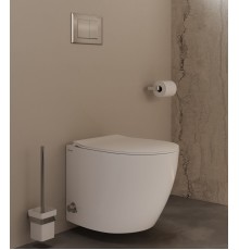 Клавиша смыва Allen Brau Infinity 9.20006.BN сталь браш