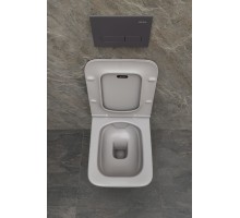 9.2PR01.AN PROJECT COLOR Кнопка смыва abs 230x156мм антрацит (326471)