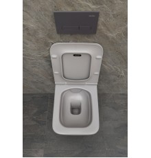 9.2PR01.AN PROJECT COLOR Кнопка смыва abs 230x156мм антрацит (326471)