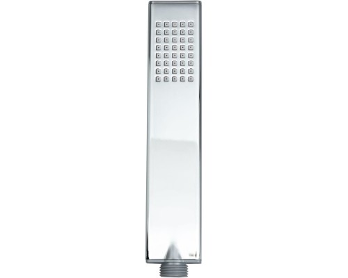 Душевая лейка Allen Brau Infinity 40x19.4 хром латунь