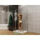Душевой уголок Allen Brau Priority 100x80 3.31004.00 + 3.31013.00 хром