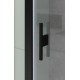 Душевой уголок Allen Brau Priority 100x80 3.31006.BBA + 3.31015.BBA черный браш