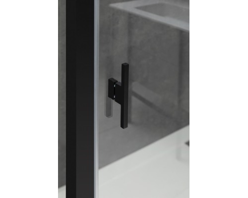 Душевой уголок Allen Brau Priority 120x80 3.31009.BBA + 3.31015.BBA черный браш