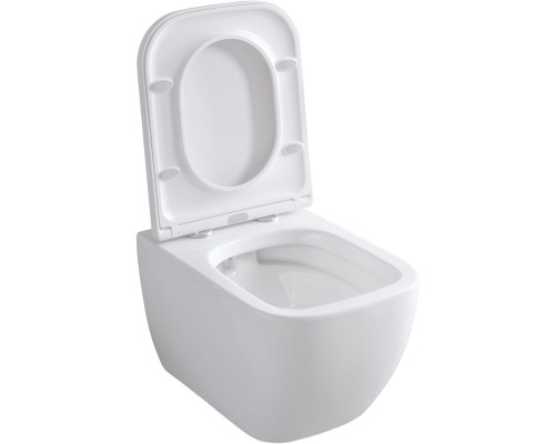 Чаша подвесного унитаза Allen Brau Infinity 4.21004.20 белый глянец