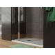 Душевая дверь Allen Brau Priority 120, 120 х 200 см, стекло прозрачное, профиль хром, 3.31007.00G