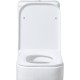 Крышка-сиденье для унитаза Allen Brau Infinity 4.21010.20 белый глянец