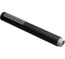 Душевая лейка Allen Brau Priority 25x18.8 черный латунь