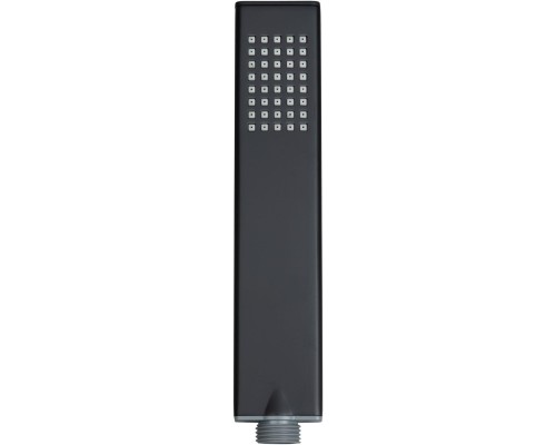 Душевая лейка Allen Brau Infinity 40x19.4 черный латунь