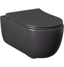 Чаша подвесного унитаза Allen Brau Priority 4.31001.AN антрацит