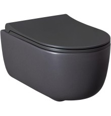 Чаша подвесного унитаза Allen Brau Priority 4.31002.AN антрацит