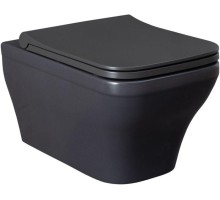 Чаша подвесного унитаза Allen Brau Infinity 4.21011.AN антрацит