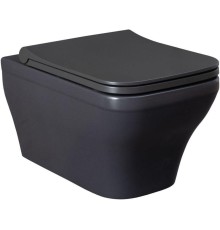 Чаша подвесного унитаза Allen Brau Infinity 4.21011.AN антрацит