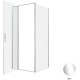 Душевой уголок Allen Brau Priority 90x90 3.31025.00 + 3.31043.00 хром