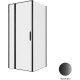 Душевой уголок Allen Brau Priority 90x90 3.31027.BBA + 3.31045.BBA черный браш