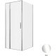 Душевой уголок Allen Brau Priority 90x100 3.31025.00 + 3.31046.00 хром