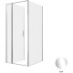 Душевой уголок Allen Brau Priority 90x100 3.31025.00 + 3.31046.00 хром