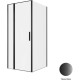 Душевой уголок Allen Brau Priority 90x100 3.31027.BBA + 3.31048.BBA черный браш