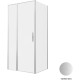 Душевой уголок Allen Brau Priority 100x80 3.31029.BA + 3.31041.BA серебро браш