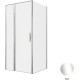 Душевой уголок Allen Brau Priority 100x90 3.31028.00 + 3.31043.00 хром