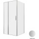 Душевой уголок Allen Brau Priority 100x100 3.31029.BA + 3.31047.BA серебро браш